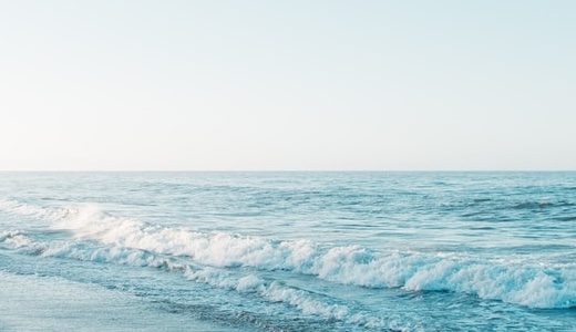 2026年　園日記　04月